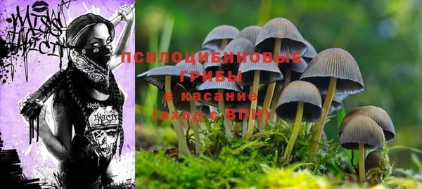 ешки Краснослободск
