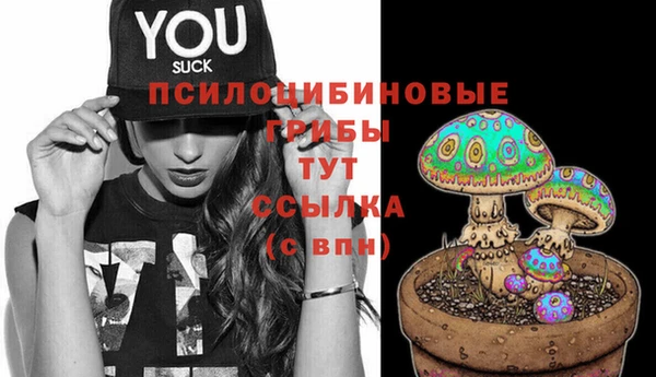 стаф Рыльск