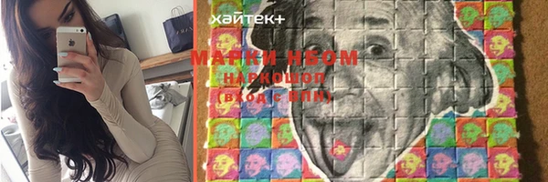 тгк Кулебаки