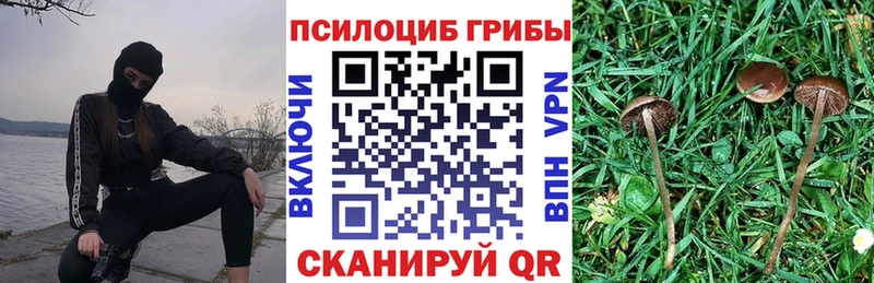 Псилоцибиновые грибы MAGIC MUSHROOMS  мега ссылка  Мураши 